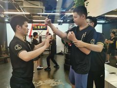 -温鉴良实用咏春拳