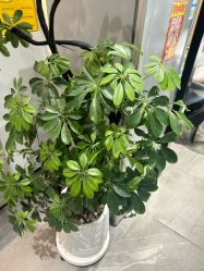 -LJOY丽锦造型·烫发染发