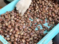 -陈记栗子(长宁路店)