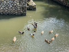 -宁波柏悦酒店·钱湖渔港