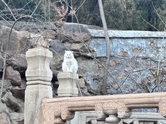 -潭柘寺景区