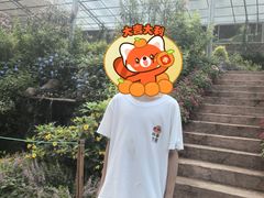 -青青世界