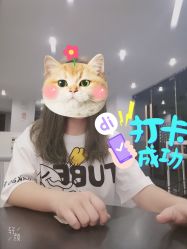 -Show fa salon 秀发沙龙