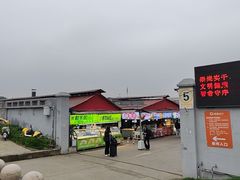 -大学城夜市大排档(凤栖路店)