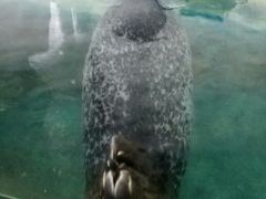 -厦门海底世界