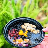 深圳春日美食&游玩｜带上这家面包店的奶油面包去仙湖野餐吧！