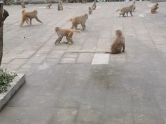 -千岛湖东南湖区