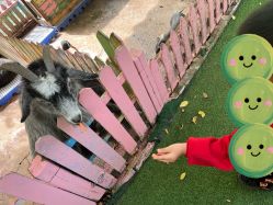 -萌宠亲子动物乐园(槐房万达店)