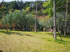 -飞凤山奥体公园