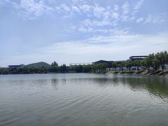 -羊山湖公园