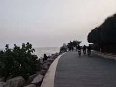 -深圳湾公园(南山区)