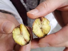 -天津小三宝栗子店(黄海路店)