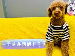 -gaga(深圳福田星河COCO Park店)