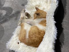 -萨莉亚意式餐厅(杭州西溪龙湖天街店)