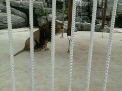 -亚马逊丛林水乐园