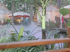 -二荆条·蜀鲜汇城市森林火锅