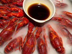 -红盔甲·小龙虾(人民广场店)
