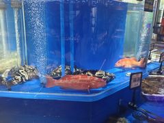 -鲜得莱渔港·小平岛海胆馆(七贤岭店)