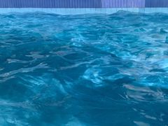 -黄金海岸水上乐园