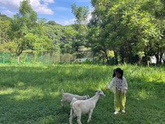 -福建鲤鱼洲酒店