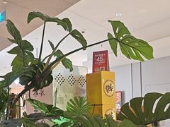 -船歌·鱼水饺青岛菜(恒隆广场店)