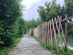 -贵阳市花溪国家城市湿地公园