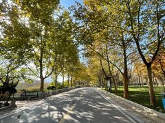 -石家庄市动物园