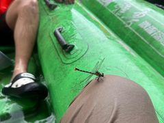 -雅鲁激流探险漂流