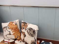 -纳吉亚猫专科动物诊疗中心(蒋宅口分院)