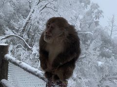 -峨眉山风景名胜区