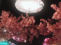 -渝厨生态火锅(合川区府店)