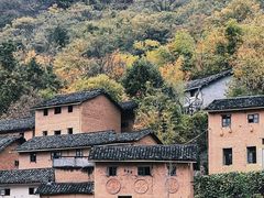 -阳产土楼