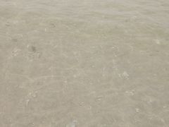 -东郊椰林