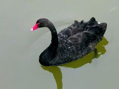 -南翠屏公园