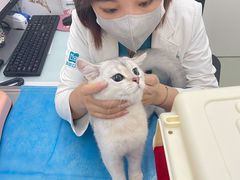 -北京恒爱动物医院(清景园分院)