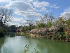 -西溪国家湿地公园