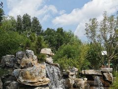 -南宫五洲植物乐园