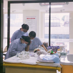 -明宇集团·积木枝芽母婴健康管理中心(天府店)