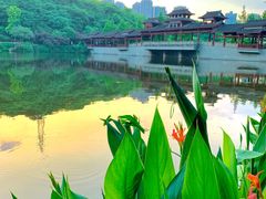 -重庆彩云湖湿地公园