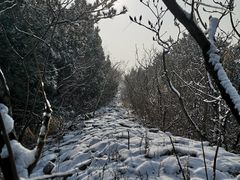 -府君山公园