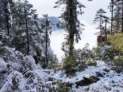 -瓦屋山景区
