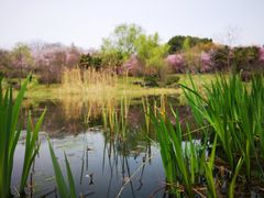 -紫金山索道-售票处