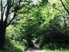 -长春市南湖公园