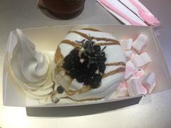 黑糖珍珠梳乎厘-狐狸和向日葵(北京路店)
