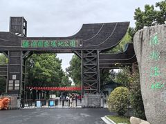 -溱湖国家湿地公园