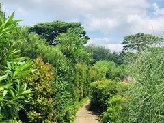 -三鹰之森吉卜力美术馆