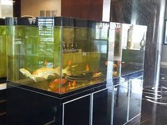 -北海金昌开元名都大酒店·四季轩中餐厅