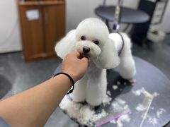 -宠物家(双井店)