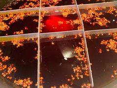 -朱氏胖子烂火锅(洪崖洞店)