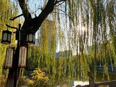 -文瀛公园